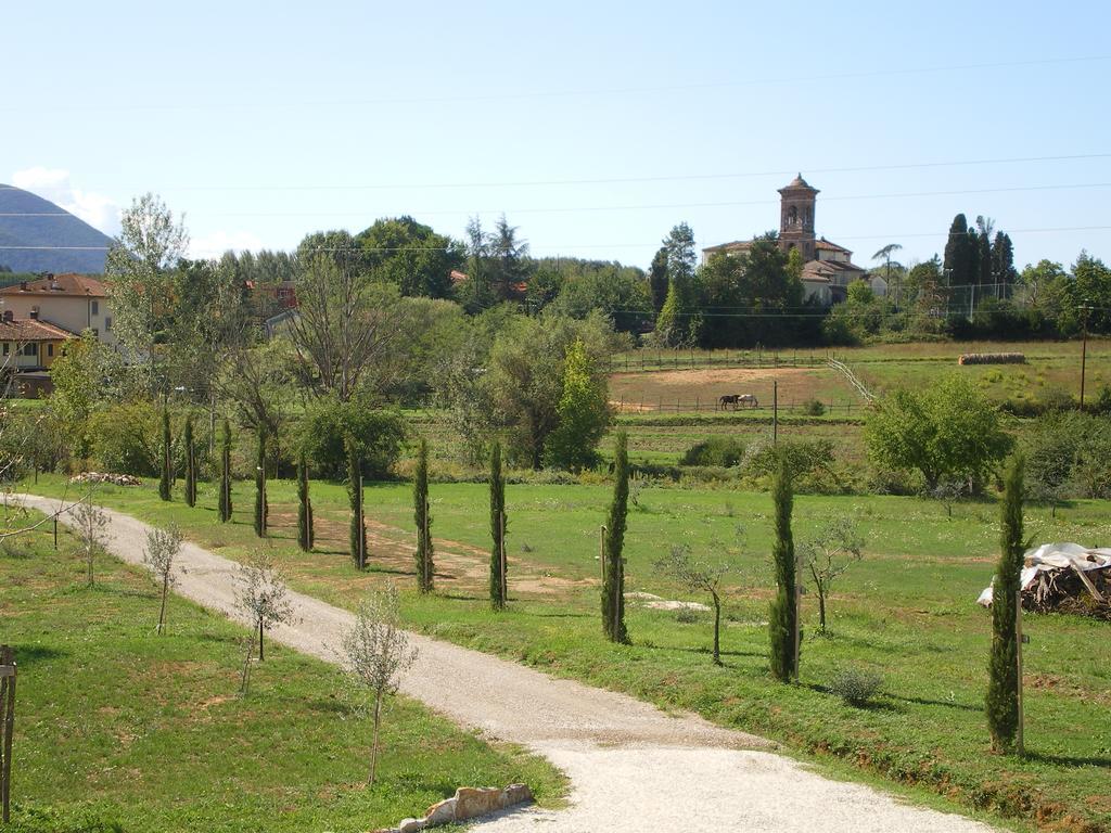 Agriturismo Ai Linchi Lucca Exterior foto
